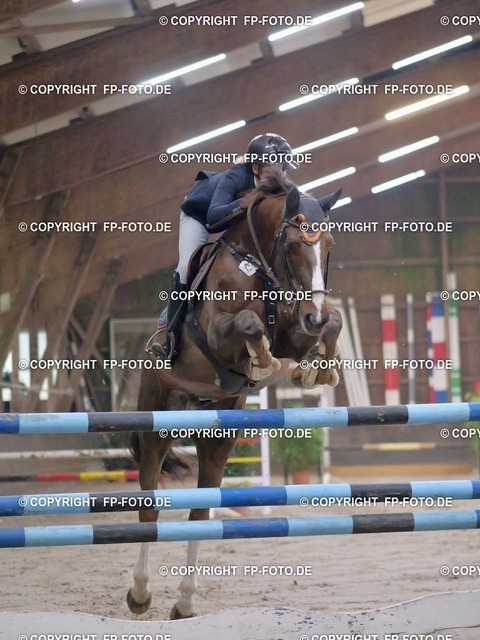 P0131769.t | FP-Foto.de - Realisiert mit Pictrs.com