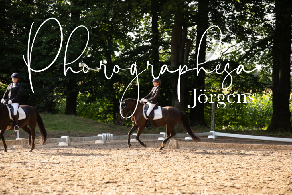 IMG_0742 | photographesa-joergens - Realisiert mit Pictrs.com