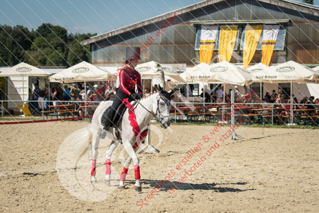 ND5_9552 | Hier findest Du viele Augenblicke aus den Bereichen der Turnier-, Sport- & Tierfotografie. Bilder mit deinem Liebling, Portrait-, Bewerbungs-, Businessbilder können ebenfalls schnell und einfach erstellt werden.