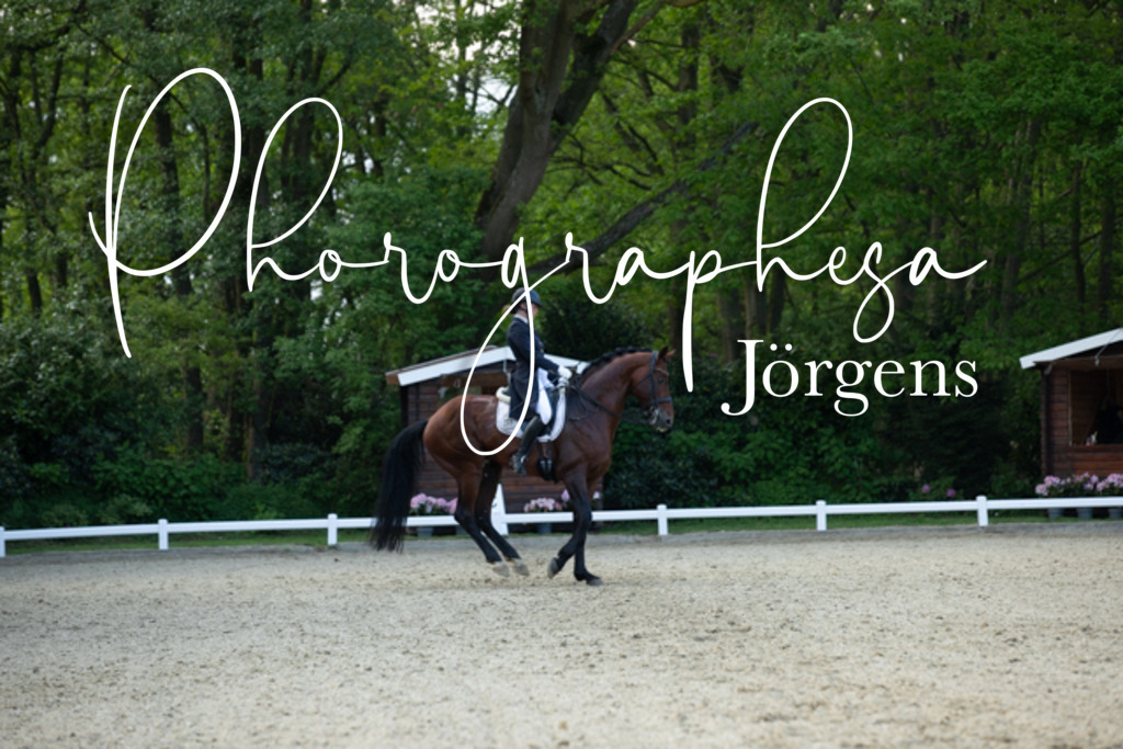 IMG_9338 | photographesa-joergens - Realisiert mit Pictrs.com