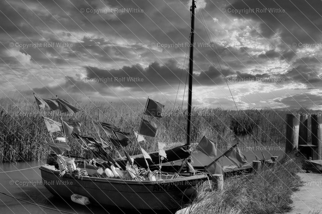 1D3A6805 | Rolf Wittke  - Realisiert mit Pictrs.com