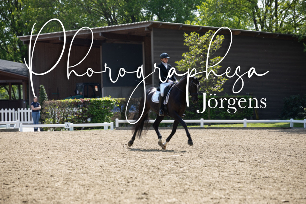 IMG_8915 | photographesa-joergens - Realisiert mit Pictrs.com