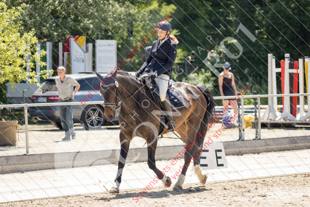 IMG_5271 | Hier findest Du viele Augenblicke aus den Bereichen der Turnier-, Sport- & Tierfotografie. Bilder mit deinem Liebling, Portrait-, Bewerbungs-, Businessbilder können ebenfalls schnell und einfach erstellt werden.