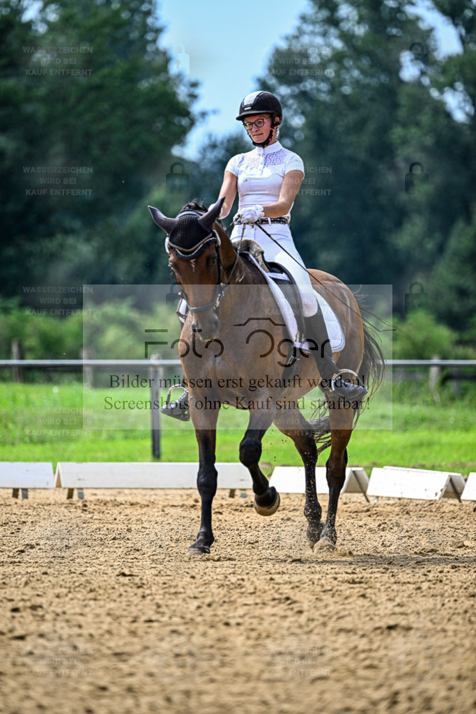 Reitturnier Hasbergen | Bilder aus dem Reitsport by Foto Oger - Domenic Schlinge - Realisiert mit Pictrs.com