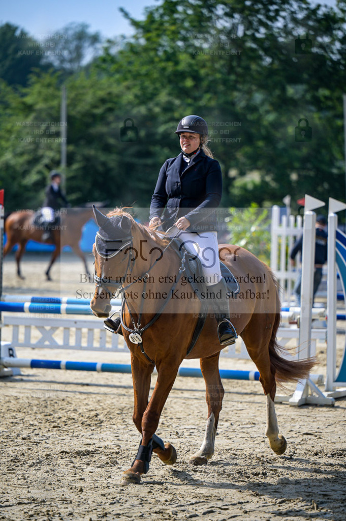 Osnabrücker Reitertage | Bilder aus dem Reitsport by Foto Oger - Domenic Schlinge - Realisiert mit Pictrs.com