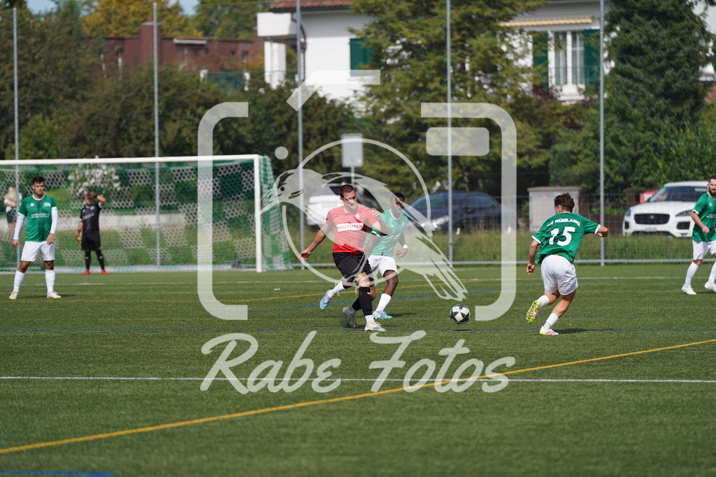 DSC08506 | rabefotos