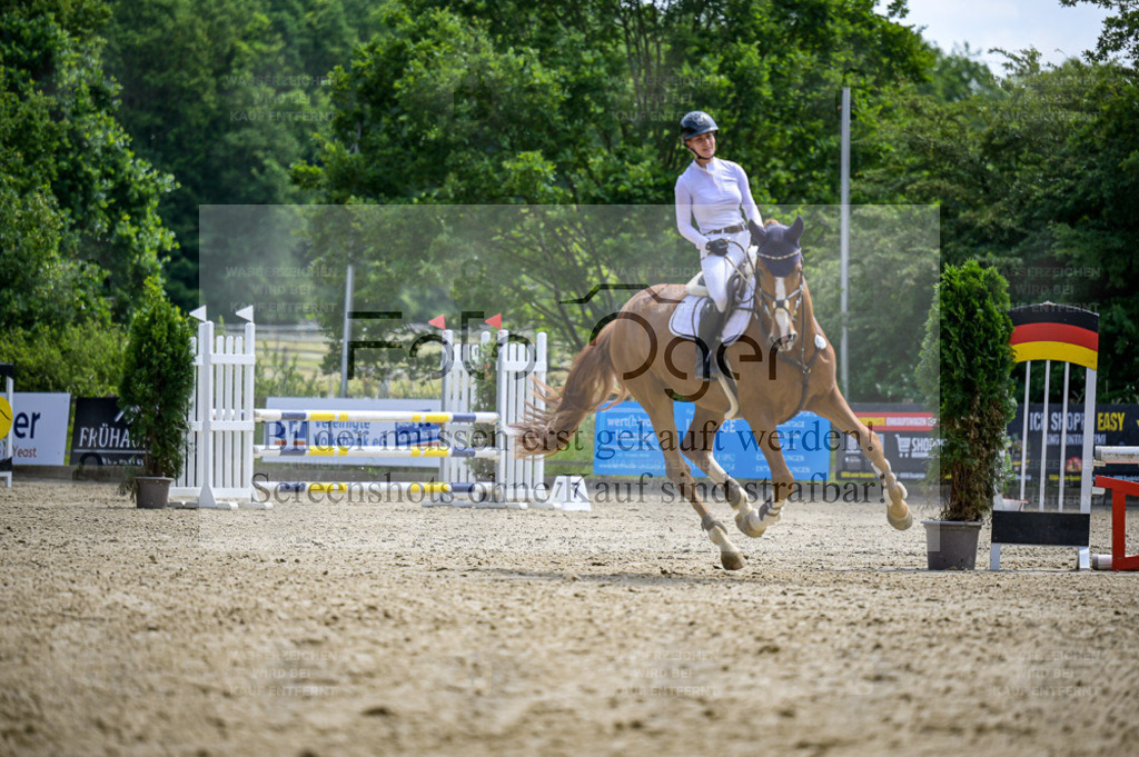 Osnabrücker Reitertage | Bilder aus dem Reitsport by Foto Oger - Domenic Schlinge - Realisiert mit Pictrs.com