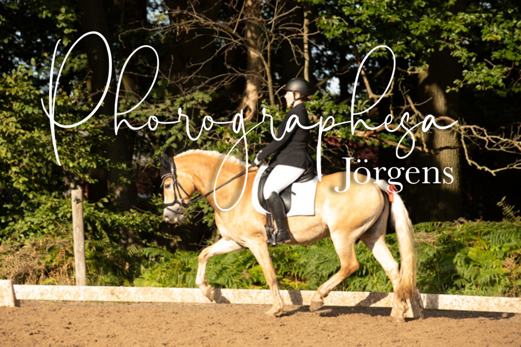 IMG_1051 | photographesa-joergens - Realisiert mit Pictrs.com