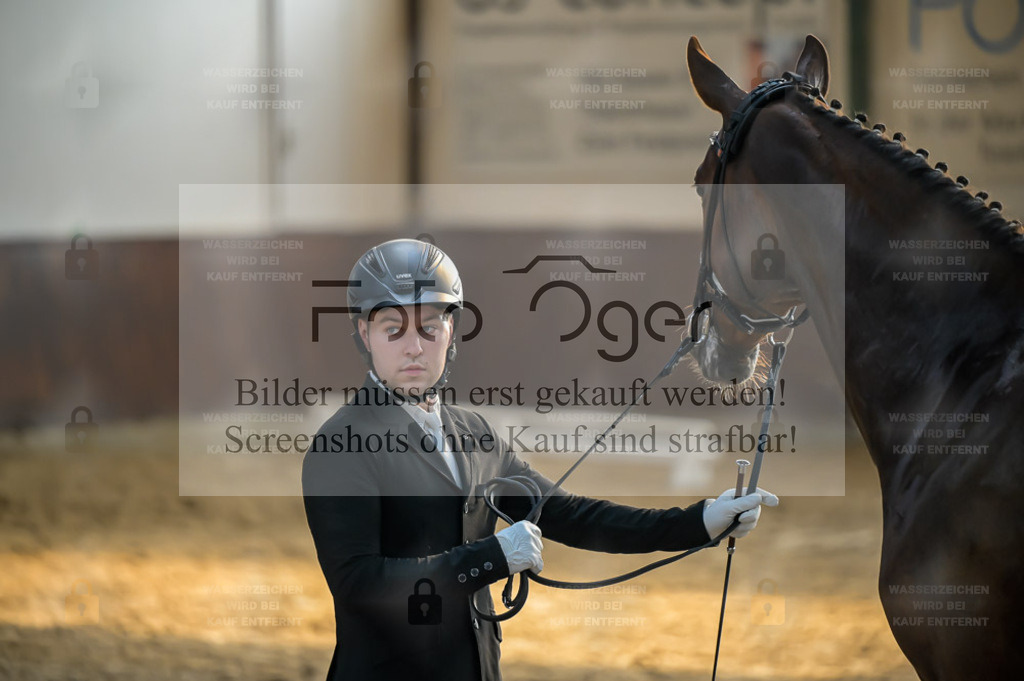 Reitturnier Voxtrup | Bilder aus dem Reitsport by Foto Oger - Domenic Schlinge - Realisiert mit Pictrs.com