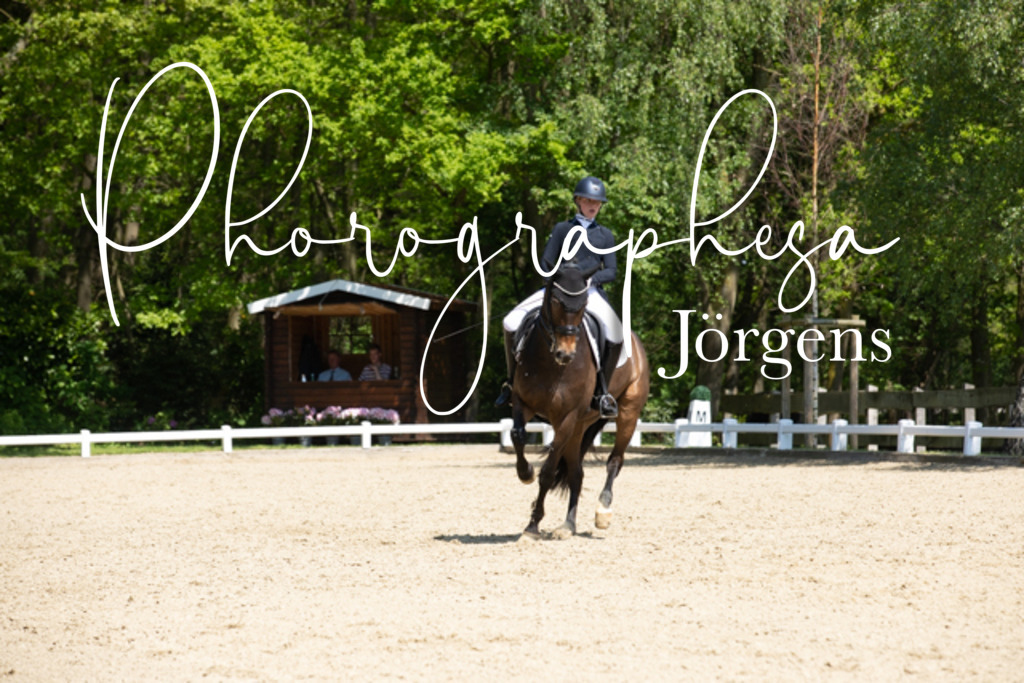 IMG_4575 | photographesa-joergens - Realisiert mit Pictrs.com