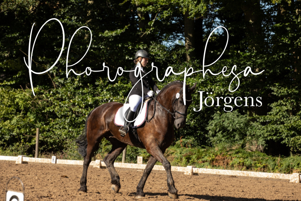 IMG_0274 | photographesa-joergens - Realisiert mit Pictrs.com