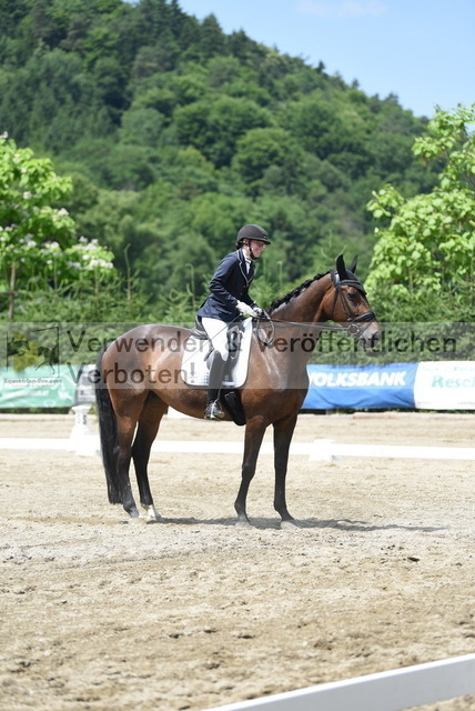 DSC_9477 | equestrian-live-com