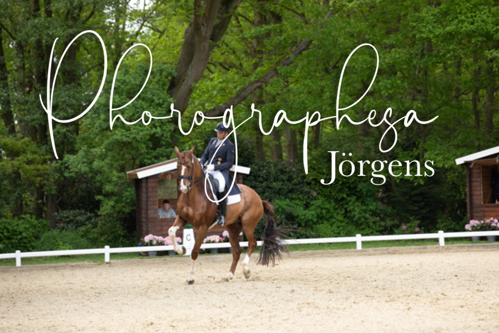 IMG_3213 | photographesa-joergens - Realisiert mit Pictrs.com