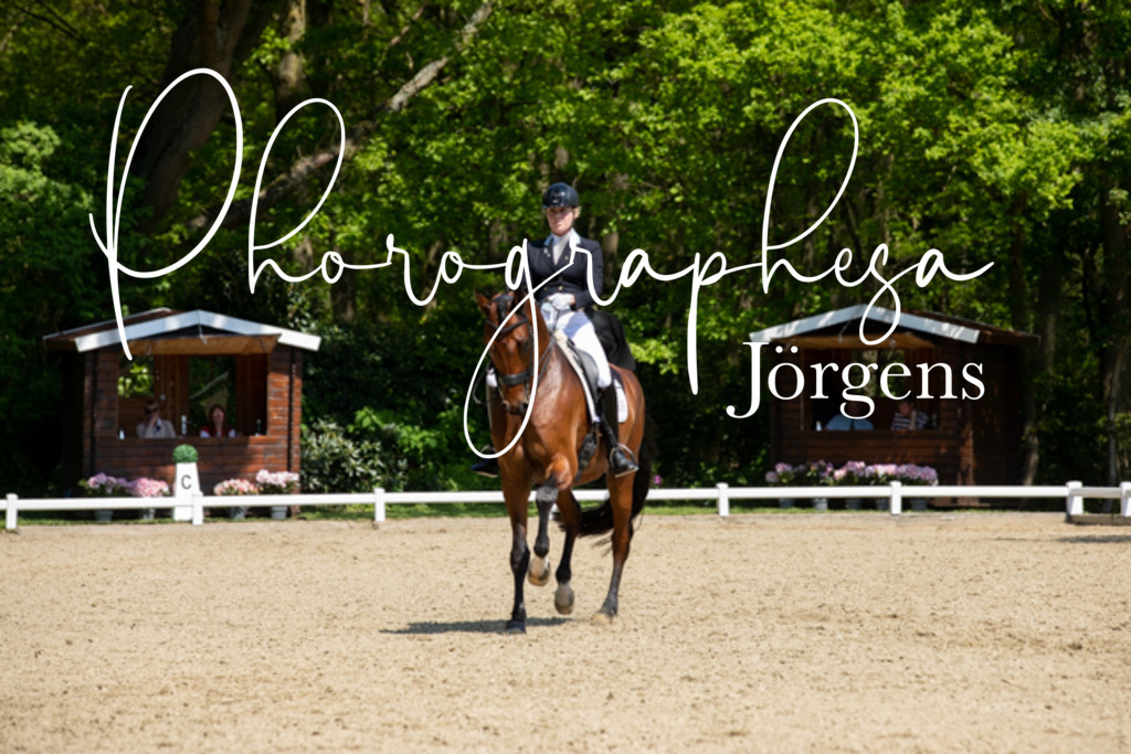 IMG_4611 | photographesa-joergens - Realisiert mit Pictrs.com