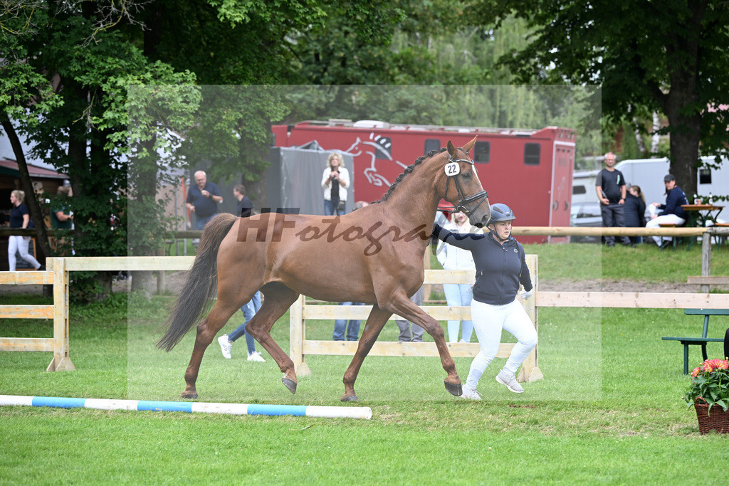 Kat-Nr. 22 C-Damons Ciwana v. Damon HIll_Weissmueller_23240484 | hf-fotografie - Realisiert mit Pictrs.com