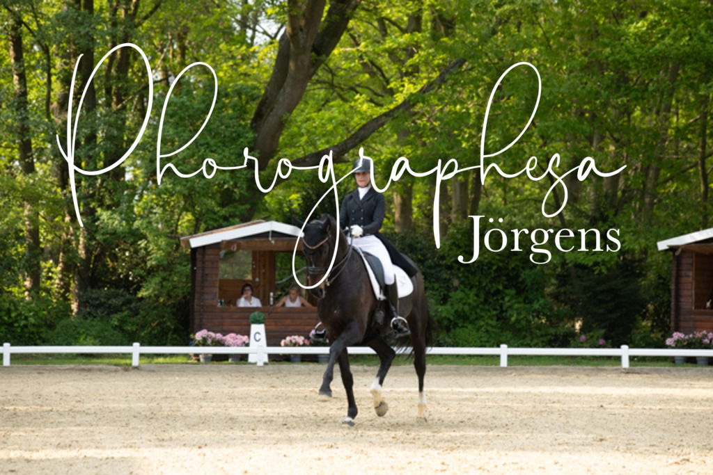 IMG_8679 | photographesa-joergens - Realisiert mit Pictrs.com