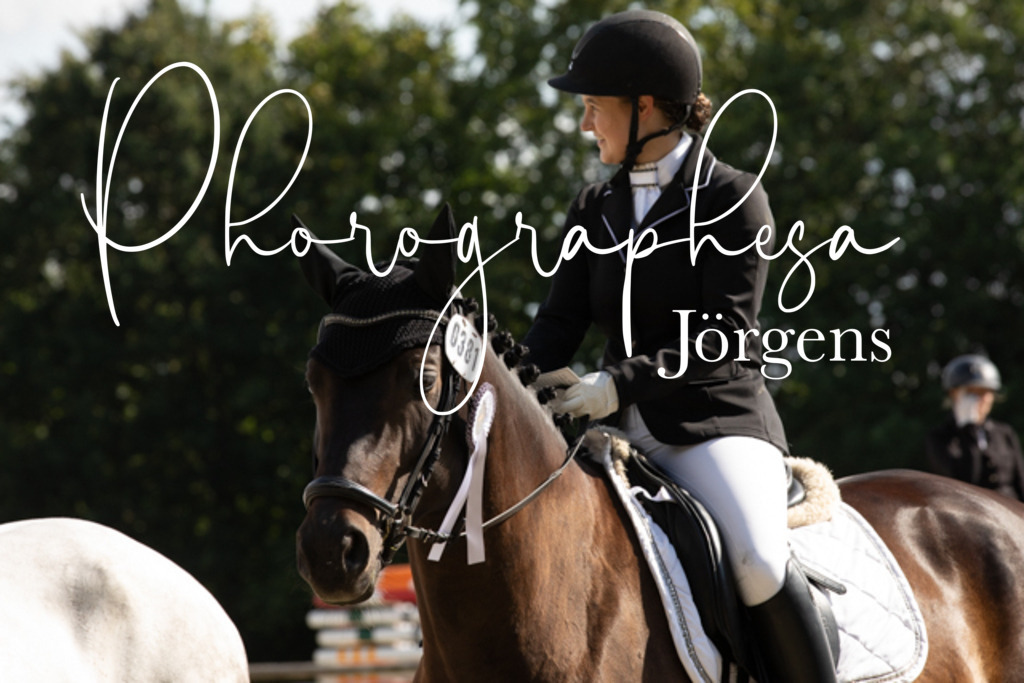 IMG_8408 | photographesa-joergens - Realisiert mit Pictrs.com
