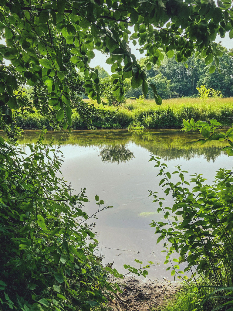"Baum" | Betrachtungskram ist keine Sammlung von Fotografien, denn ich bin keine Fotografin! Es ist eine Reise durch Gefühle, Perspektiven und Werte, gefunden in Bildern, die im Laufe von zehn Lebensjahren zufällig entstanden. - Realisiert mit Pictrs.com