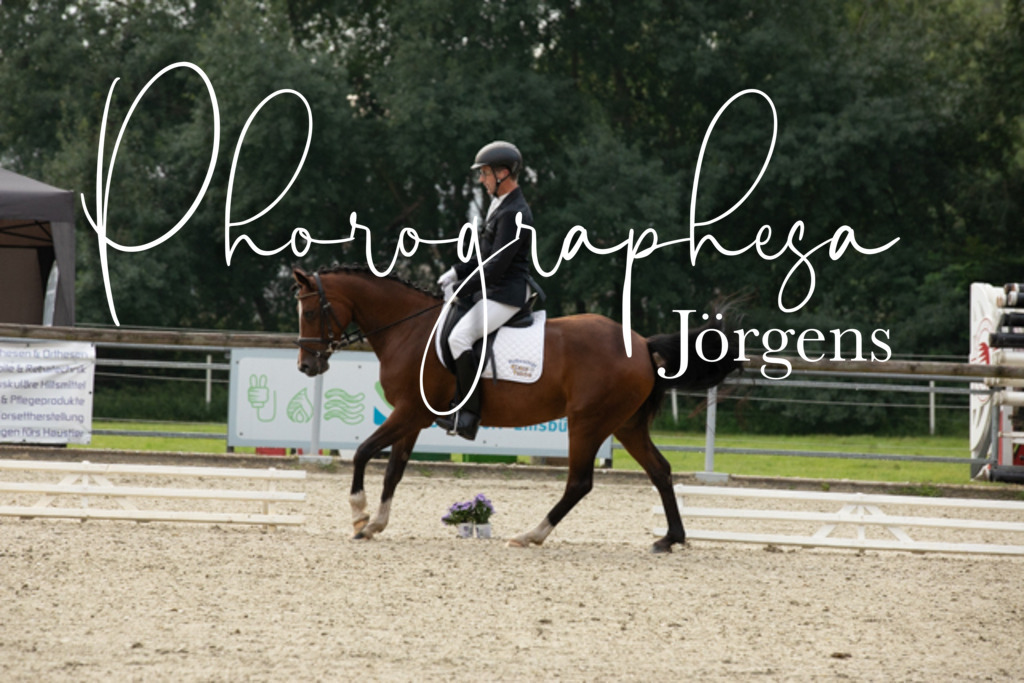 IMG_6200 | photographesa-joergens - Realisiert mit Pictrs.com