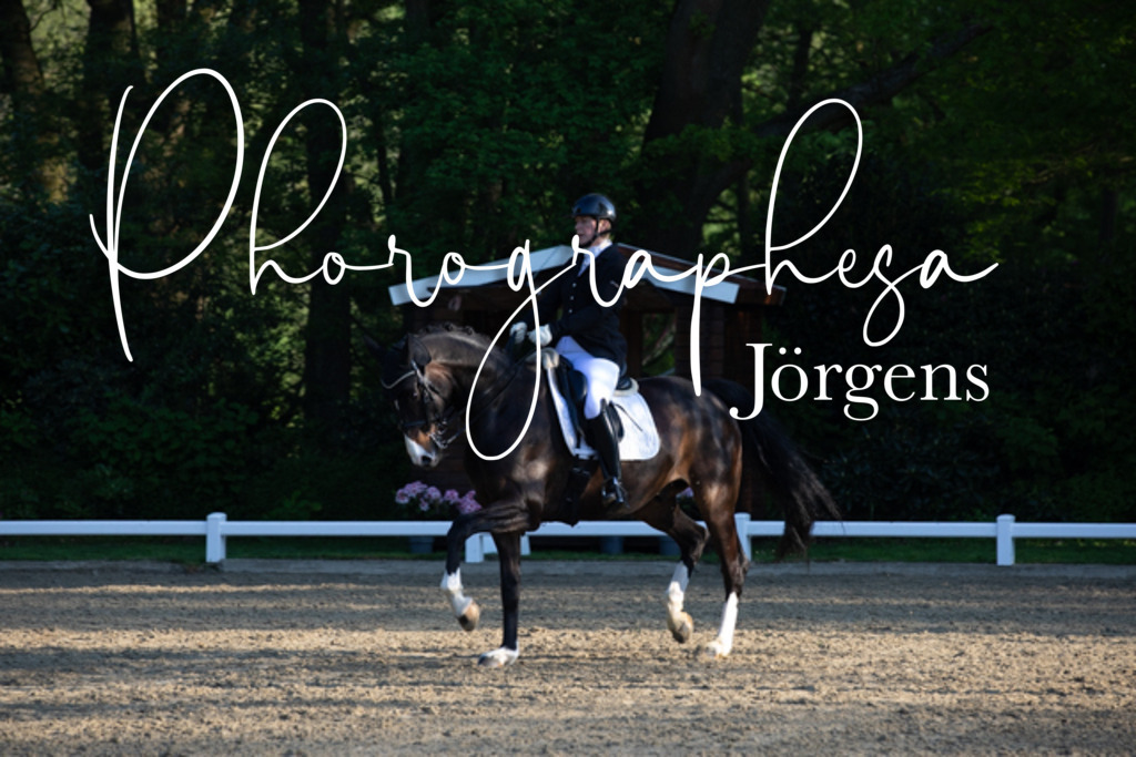 IMG_1943 | photographesa-joergens - Realisiert mit Pictrs.com