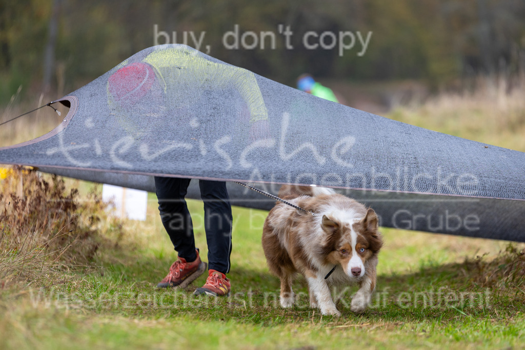 FM6A2221 | Herzlich Willkommen im Onlineshop von tierische Augenblicke.
Viel Spaß beim aussuchen ihrer Bilder und vielen Dank für ihren Einkauf.
Viele Grüße, ihr Fotograf Stefan Grube