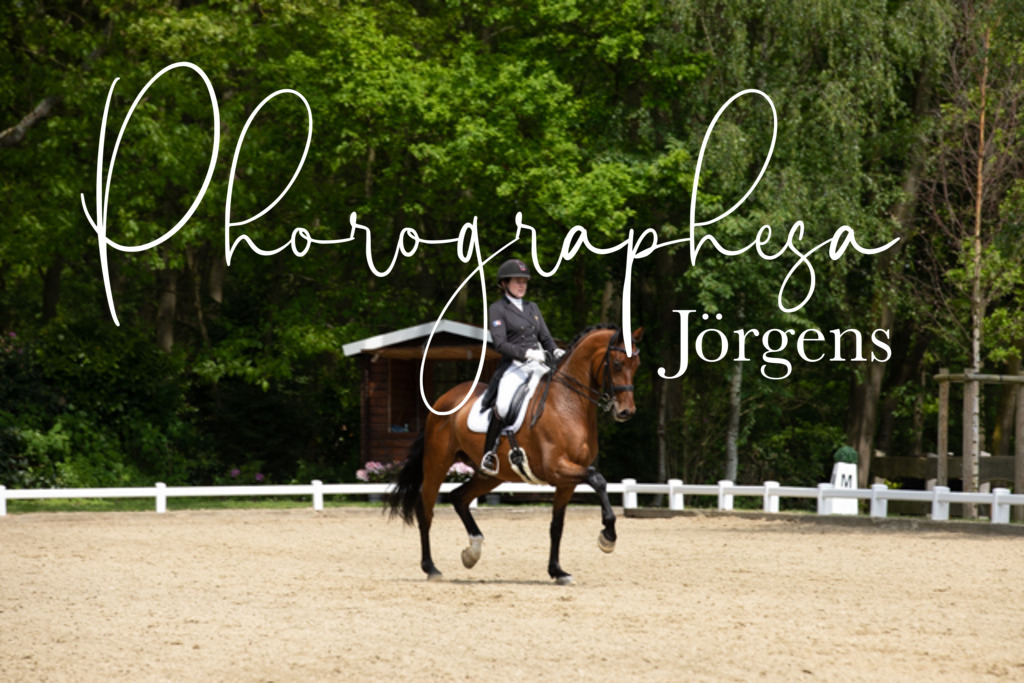 IMG_1414 | photographesa-joergens - Realisiert mit Pictrs.com