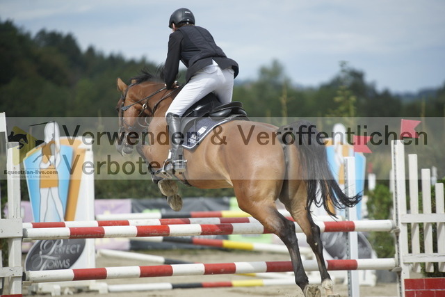 _DSC2925 | equestrian-live-com