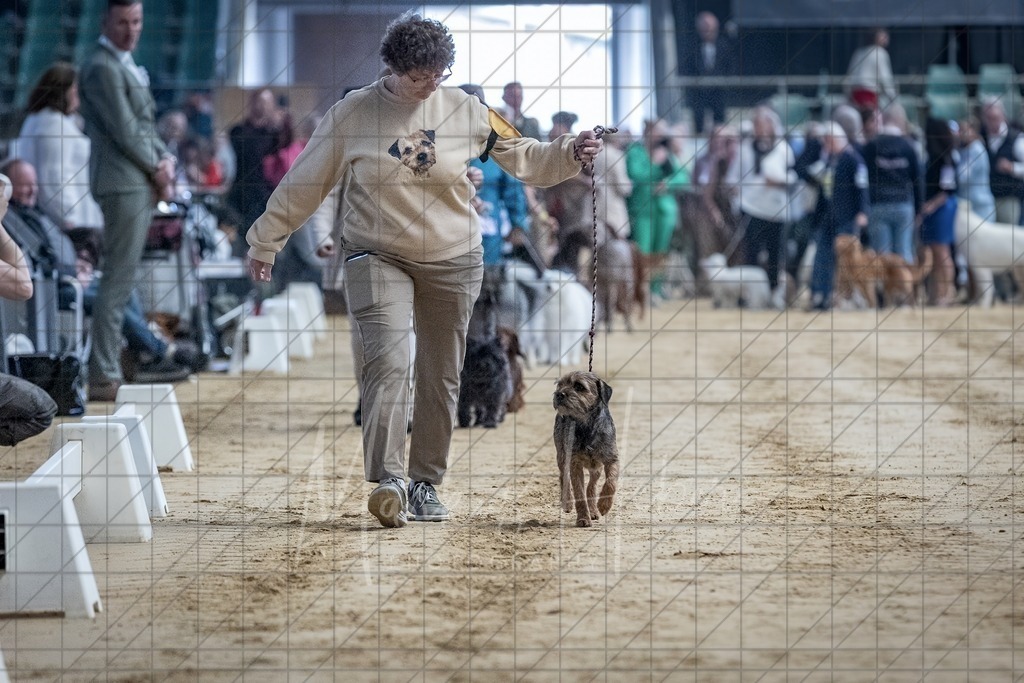 DS - Bester Veteran_0035 | Markus Heber Photography
