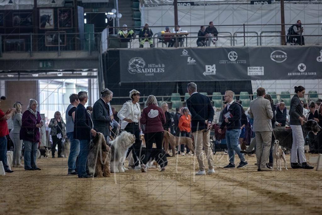 DS - Bester Junghund_0001 | Markus Heber Photography