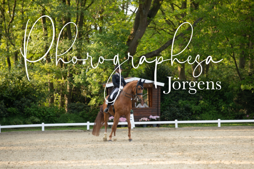 IMG_9039 | photographesa-joergens - Realisiert mit Pictrs.com