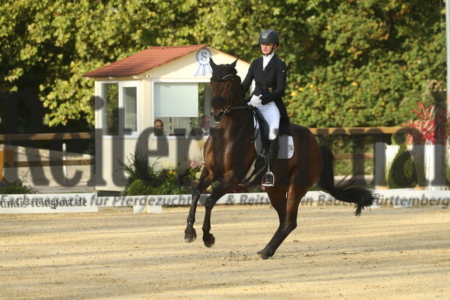 Ludwigsburg_2022_Prfg.Nr.02_FEI Intermediaire I_Mathilde Koefoed-Nielsen_Odin Unik (7) | Alle Fotos der Reiterjournal Fotografin Doris Matthaes im Reiterjournal Online-Fotoshop. - Realisiert mit Pictrs.com