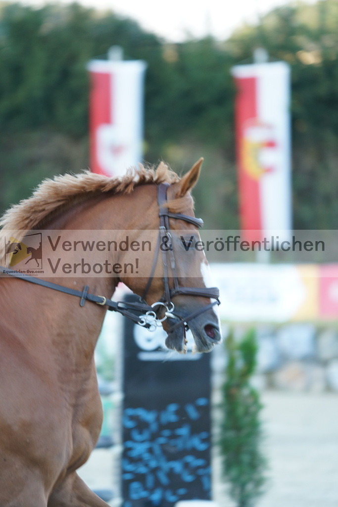 DSC01878 | equestrian-live-com