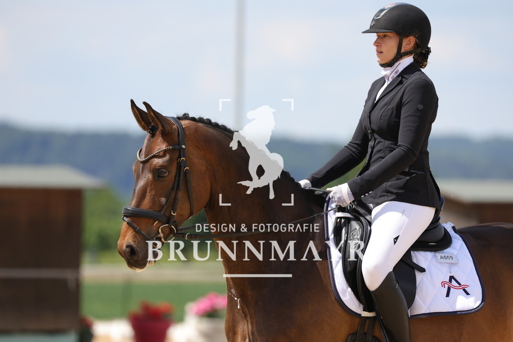 0P6A8649 | Willkommen bei Brunnmayr - Design & Fotografie – Ihrem Spezialisten für Reitturniere und Pferdeveranstaltungen in Oberösterreich, Salzburg und Bayern! Seit über 17 Jahren sind wir leidenschaftlich dabei.