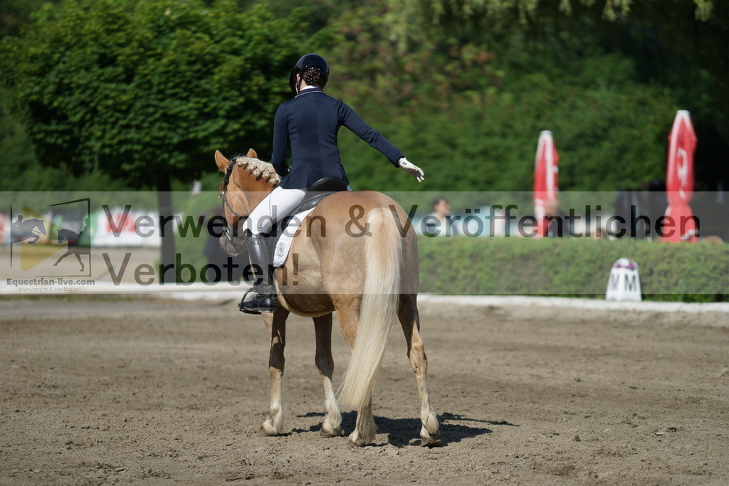 DSC04345 | equestrian-live-com