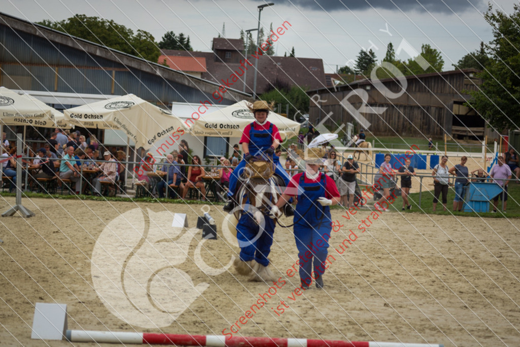 _K6C9484 | Hier findest Du viele Augenblicke aus den Bereichen der Turnier-, Sport- & Tierfotografie. Bilder mit deinem Liebling, Portrait-, Bewerbungs-, Businessbilder können ebenfalls schnell und einfach erstellt werden.