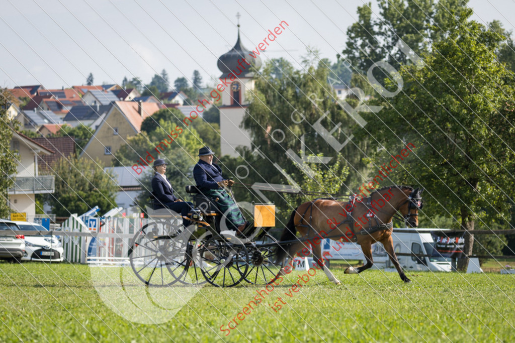 IMG_7759 | Hier findest Du viele Augenblicke aus den Bereichen der Turnier-, Sport- & Tierfotografie. Bilder mit deinem Liebling, Portrait-, Bewerbungs-, Businessbilder können ebenfalls schnell und einfach erstellt werden.