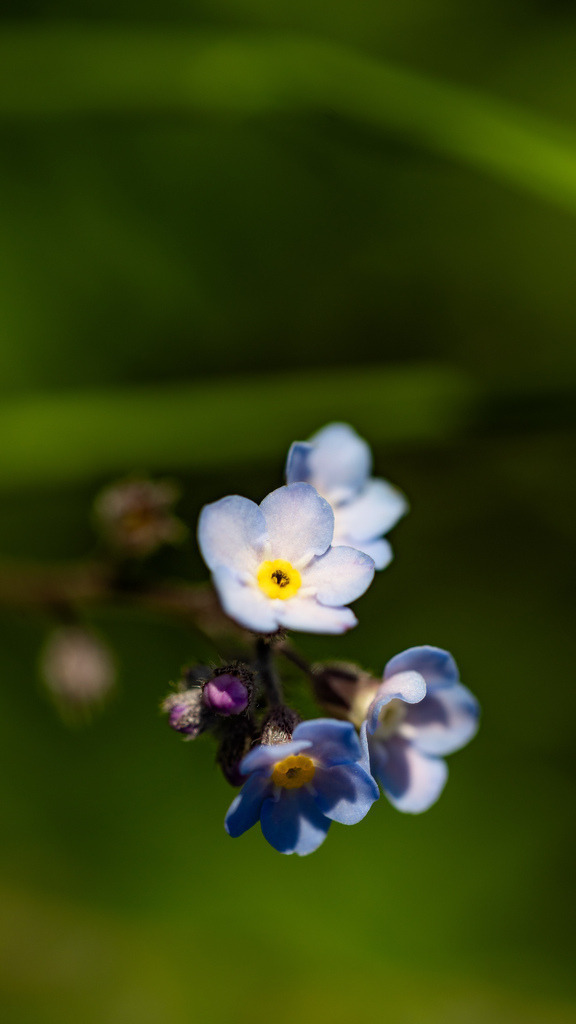 JB3A8506 | antonija-trupina - Realisiert mit Pictrs.com
