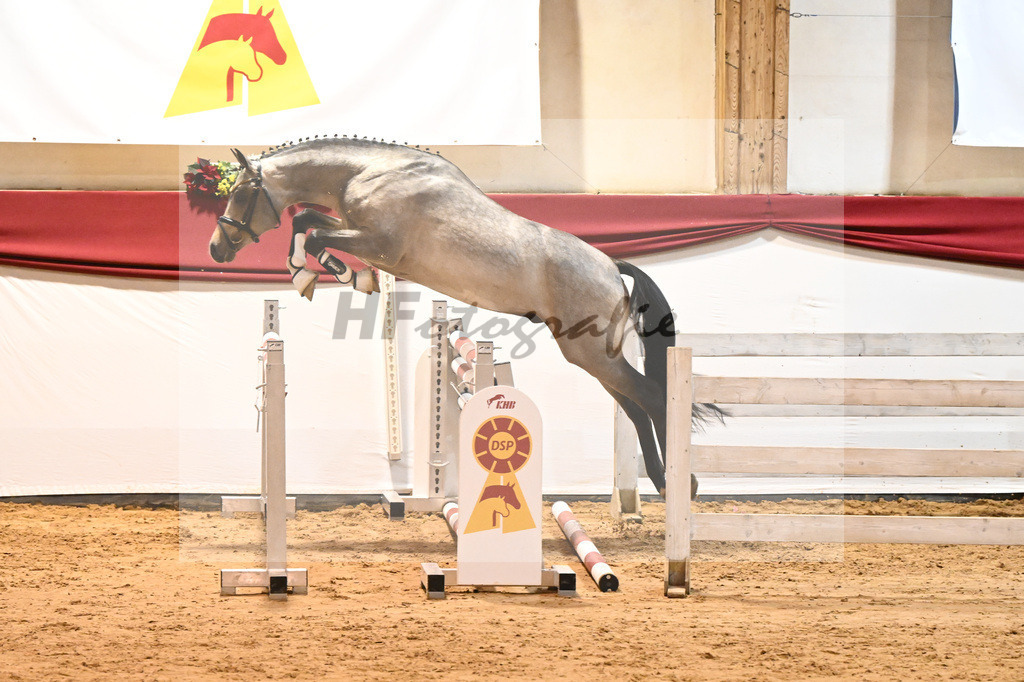 Kat-Nr. nn Reitpony_Schindele_43231255 | hf-fotografie - Realisiert mit Pictrs.com