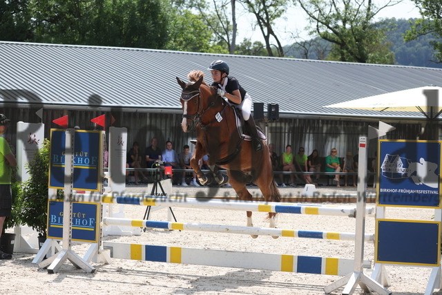 Bad Boll_2023_Prfg.Nr.11_1.WP_Landesponysieger_Springen_Moritz Steimle_Discolo SWS (4) | Alle Fotos der Reiterjournal Fotografin Doris Matthaes im Reiterjournal Online-Fotoshop. - Realized with Pictrs.com