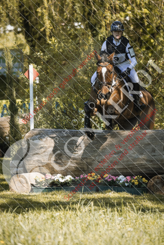 IMG_2408 | Hier findest Du viele Augenblicke aus den Bereichen der Turnier-, Sport- & Tierfotografie. Bilder mit deinem Liebling, Portrait-, Bewerbungs-, Businessbilder können ebenfalls schnell und einfach erstellt werden.