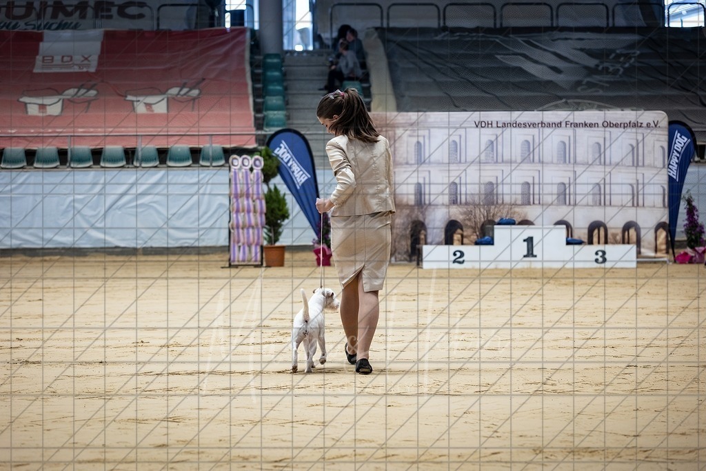 DS - Junior-Handling II_0070 | Markus Heber Photography