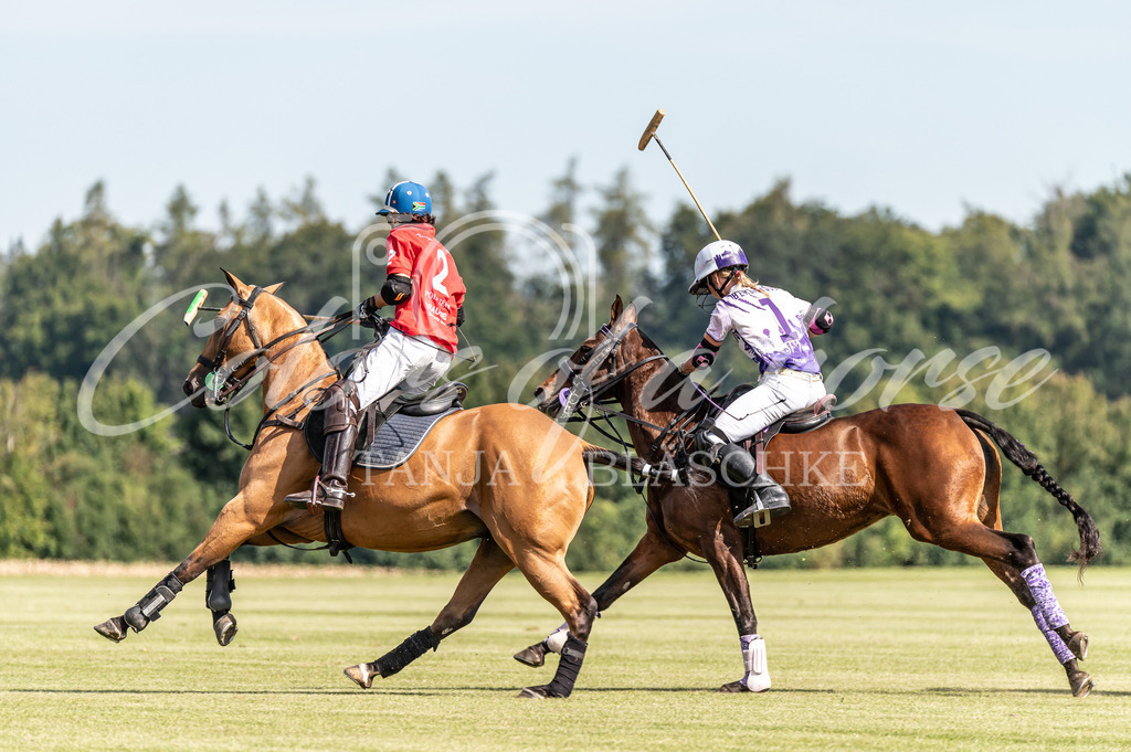 TBL_5596 | Turnierfotos von Reitturnieren in den Landkreisen Biberach, Ravensburg und in ganz Oberschwaben - von Tanja Bläschke - Colorsofahorse - Realisiert mit Pictrs.com