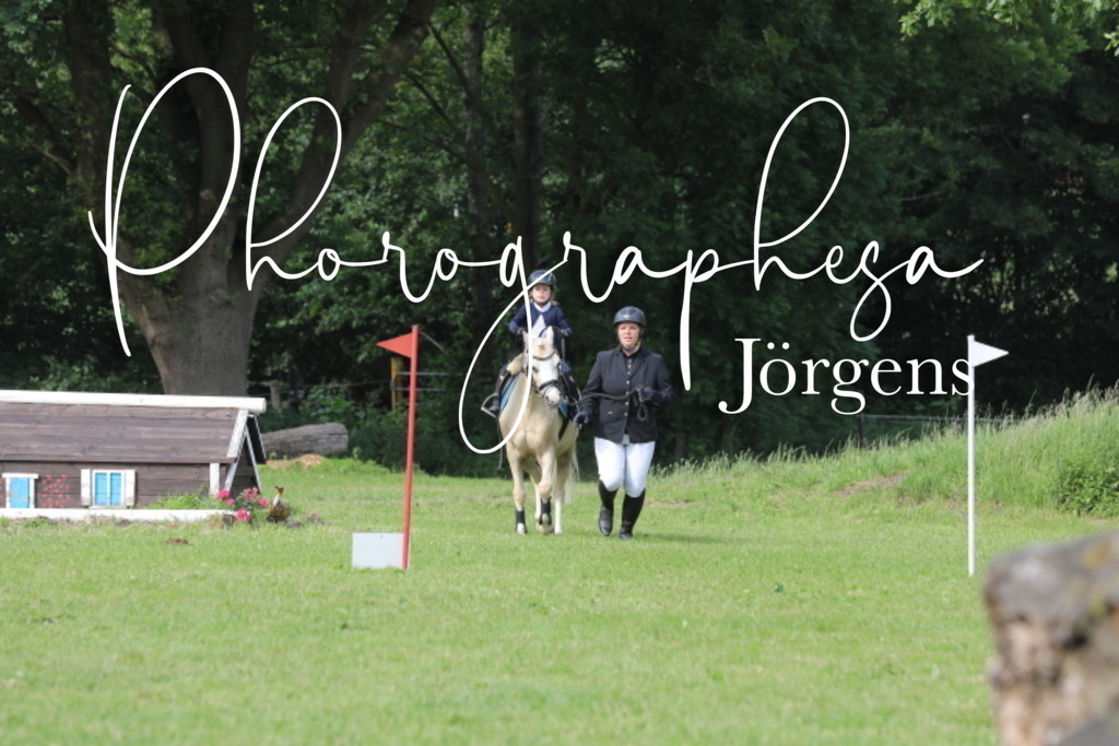 IMG_2479 | photographesa-joergens - Realisiert mit Pictrs.com