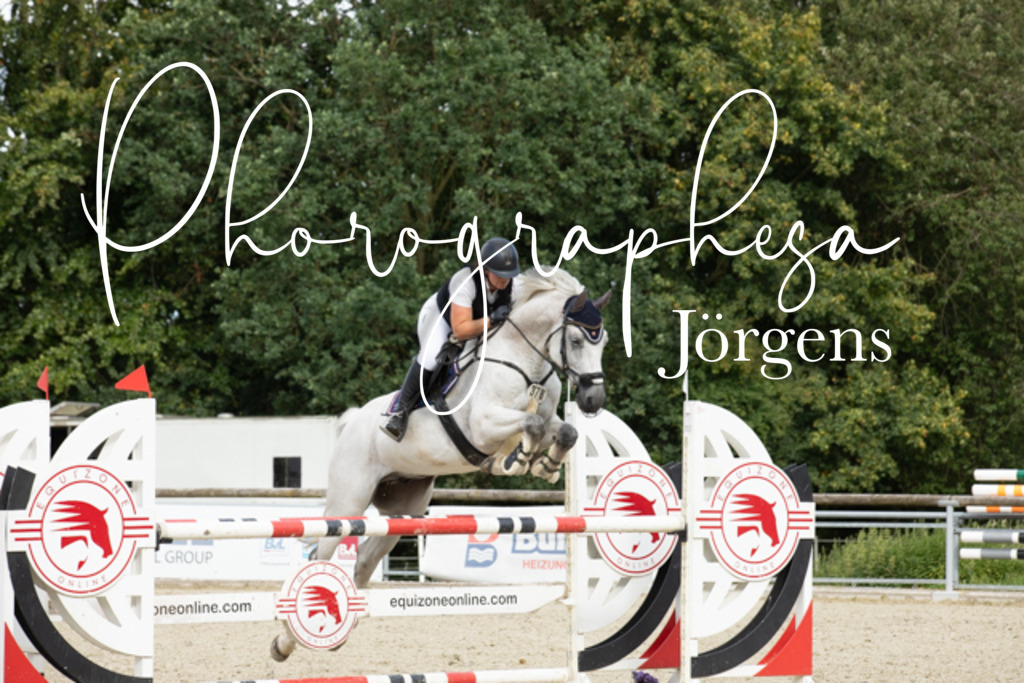 IMG_8800 | photographesa-joergens - Realisiert mit Pictrs.com