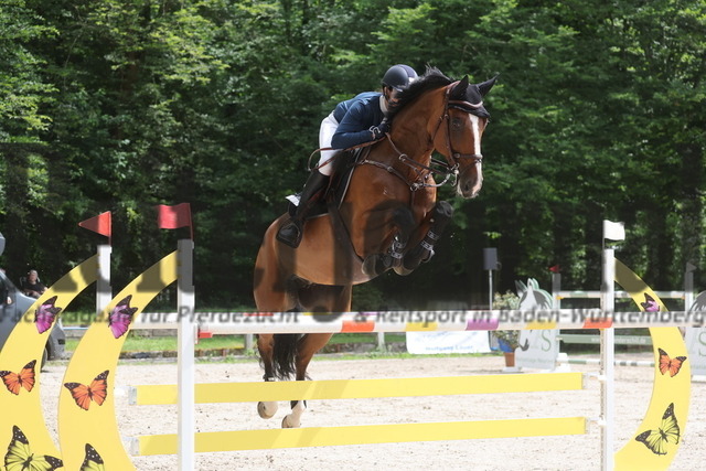 Ichenheim_2024_Prfg.Nr.02_Springprfg_Kl.S_Kordula Christea_Chakka 6 (3) | Alle Fotos der Reiterjournal Fotografin Doris Matthaes im Reiterjournal Online-Fotoshop. - Realisiert mit Pictrs.com