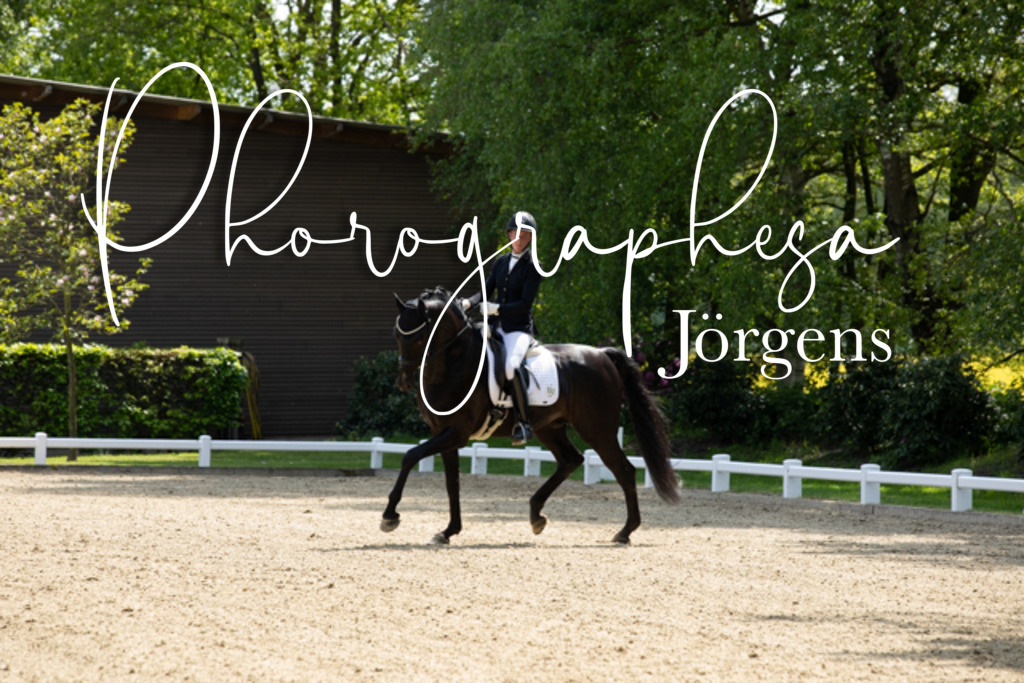 IMG_5764 | photographesa-joergens - Realisiert mit Pictrs.com