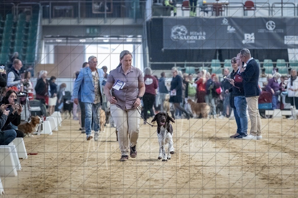 DS - Bester Junghund_0148 | Markus Heber Photography