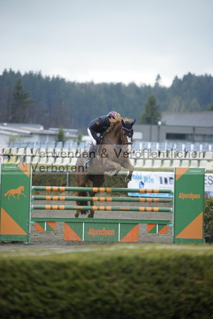 _DSC6383 | equestrian-live-com