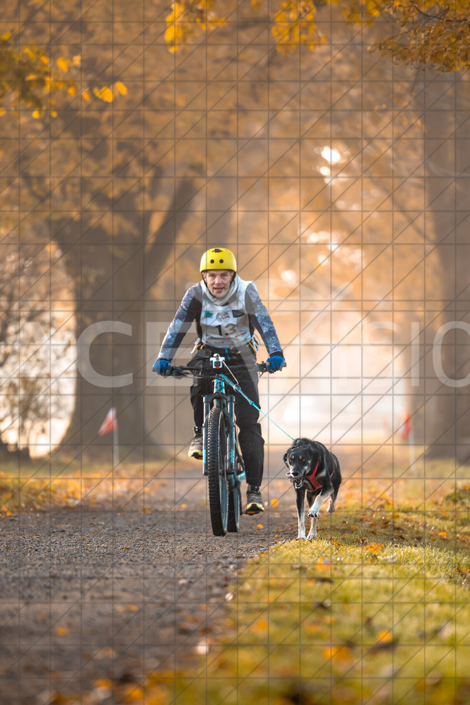 D-9394 | Entdecken Sie unsere beeindruckenden Bilder von Hunderennen! Wir sind ein engagiertes Team, das aktiv an Rennen teilnimmt und die schönsten Momente festhält. Besuchen Sie unsere Galerie für hochwertige Downloads und teilen Sie die Begeisterung für den Hun