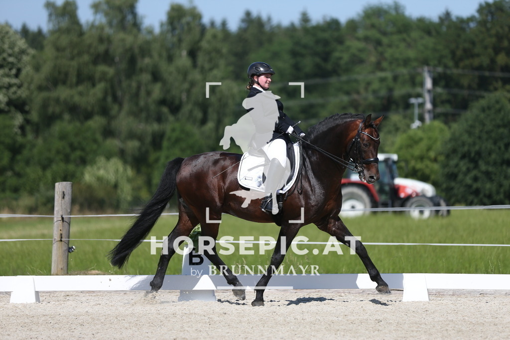 AS8V4057 | Willkommen bei Brunnmayr - Design & Fotografie – Ihrem Spezialisten für Reitturniere und Pferdeveranstaltungen in Oberösterreich, Salzburg und Bayern! Seit über 17 Jahren sind wir leidenschaftlich dabei.